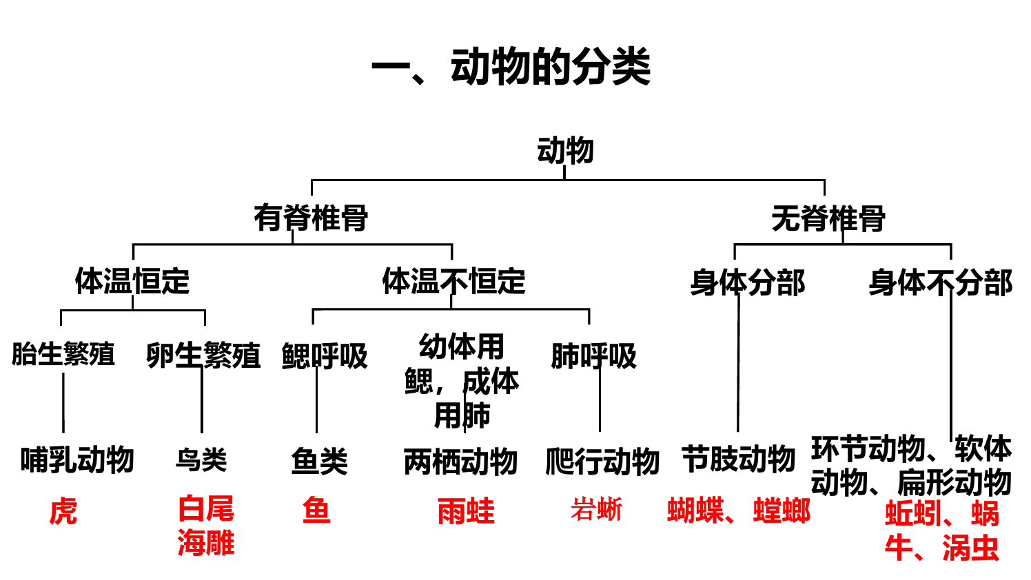 动物的主要类群(第1课时)(课件)-2022-2023学年八年级生物下册同步精品课堂(北师大版)