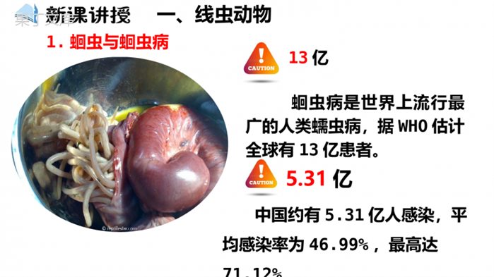 动物的主要类群(第2课时)(课件)-+2022-2023学年八年级生物下册同步精品课堂(北师大版)