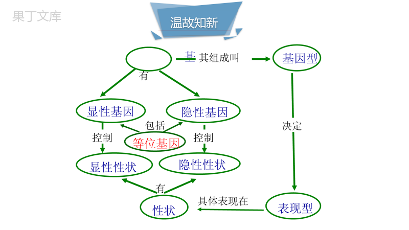 性别和性别决定-2022-2023学年八年级生物上册同步优质教学课件(北师大版)