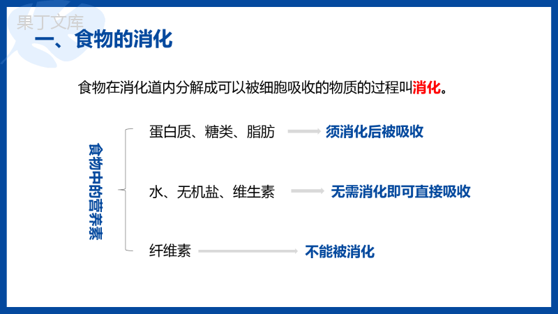 消化和吸收-2022-2023学年七年级生物同步精讲课件(人教版七年级下册)