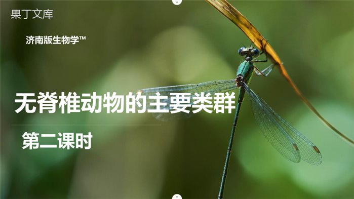 无脊椎动物的主要类群(第二课时)-2022-2023学年七年级上册生物同步高效优质课件(济南版)