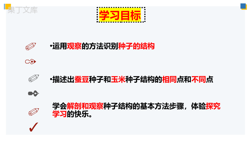 植物的生长发育(第一课时)-2022-2023学年八年级生物上册教学课件(苏科版)