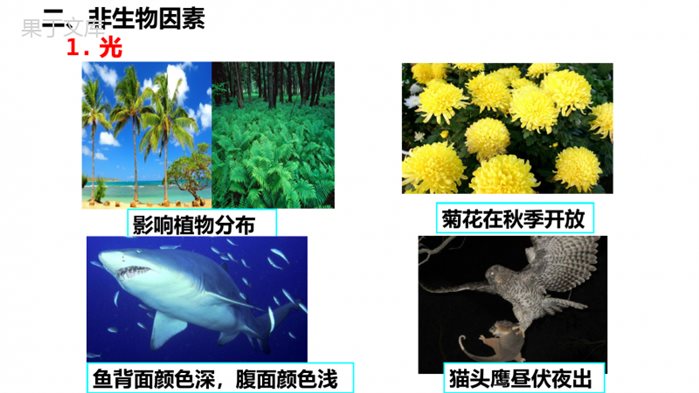 生物的生存依赖一定的环境(课件)-2022-2023学年八年级生物下册同步精品课堂(北师大版)