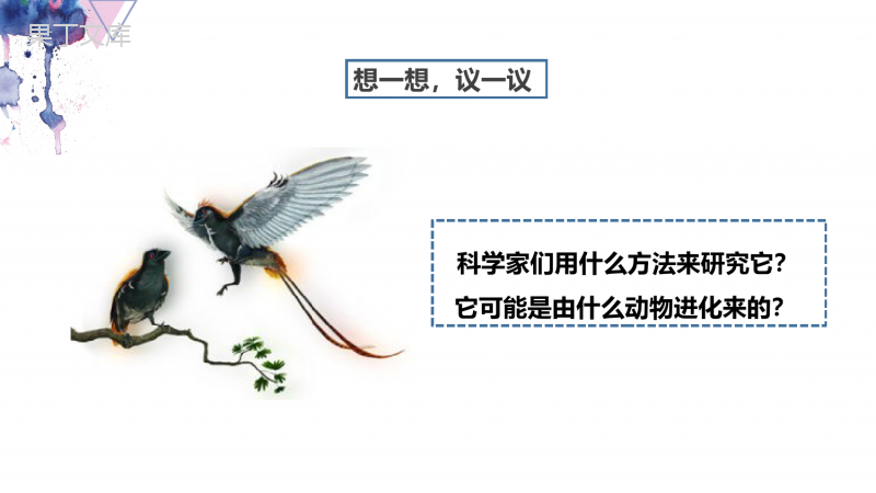 生物进化的历程-2022-2023学年八年级生物下学期同步精品课件(人教版)