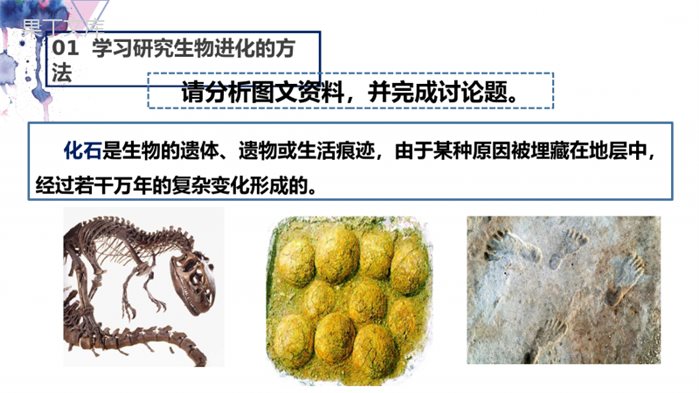 生物进化的历程-2022-2023学年八年级生物下学期同步精品课件(人教版)