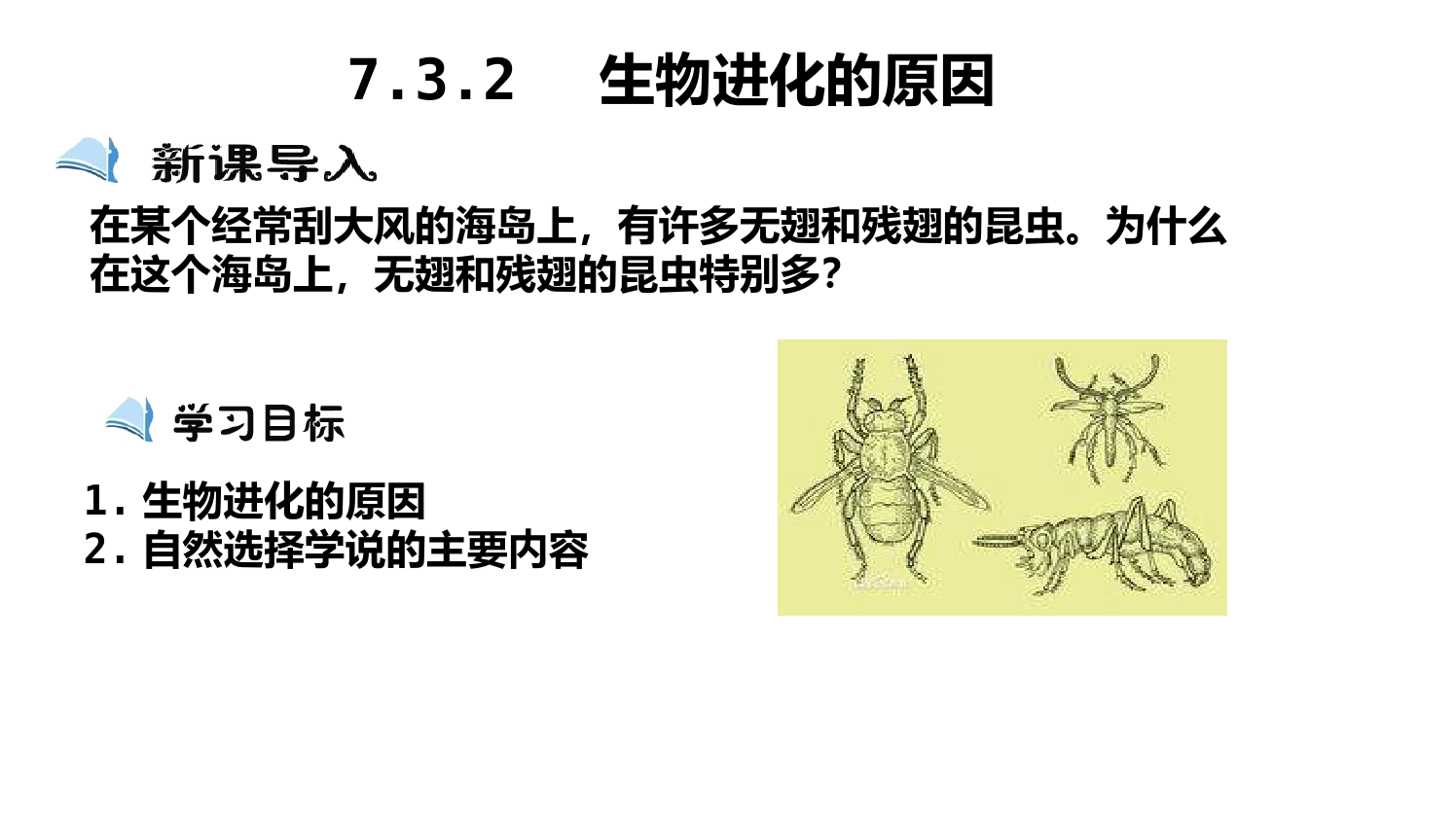 生物进化的原因(课件)-2022-2023学年八年级生物下册备课无忧(人教版)
