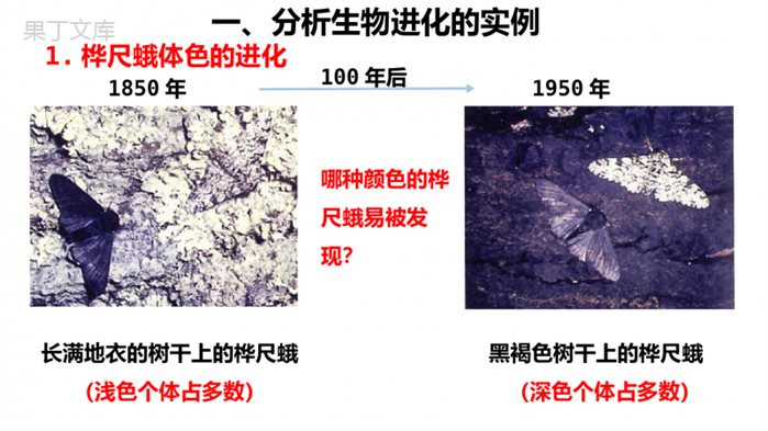 生物进化的原因(课件)-2022-2023学年八年级生物下册备课无忧(人教版)