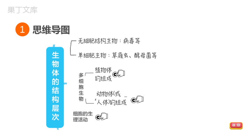 福建省生物中考复习：专题突破篇第22课时生物体的结构层次知识点梳理及练习