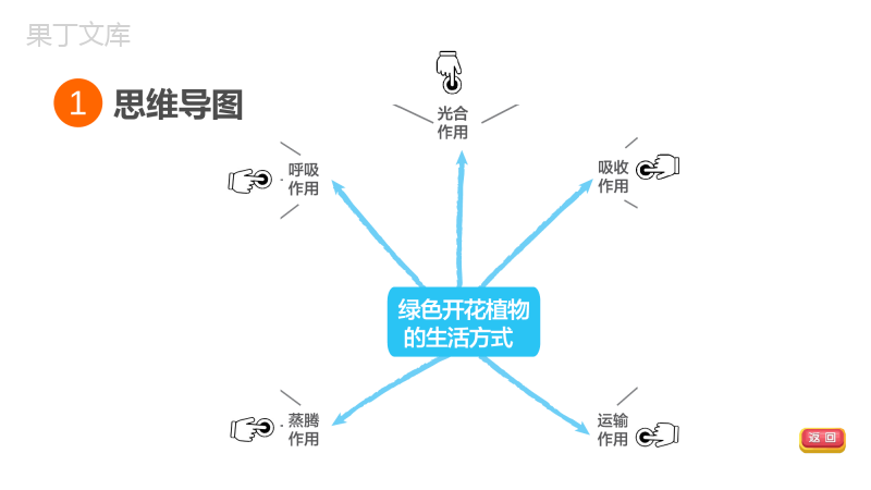 福建省生物中考复习：专题突破篇第25课时绿色植物的生理作用知识点梳理及练习