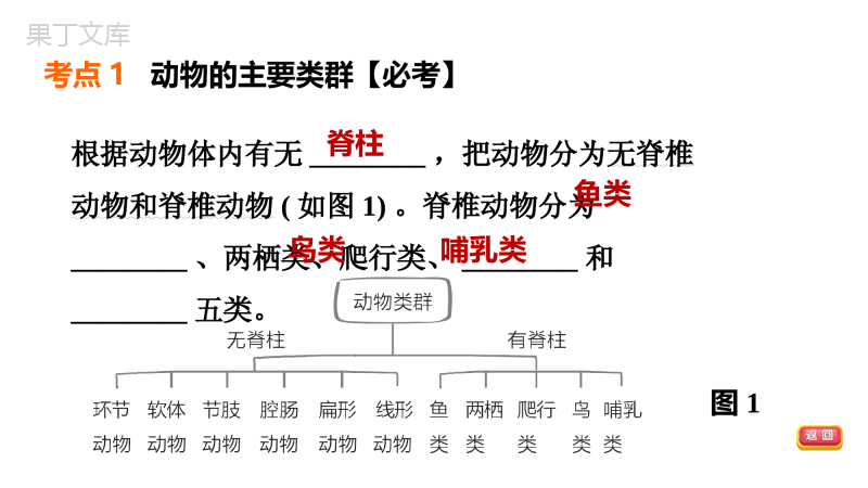 福建省生物中考复习：考点梳理篇第18课时动物多样性保护生物多样性和生物进化知识点梳理及练习