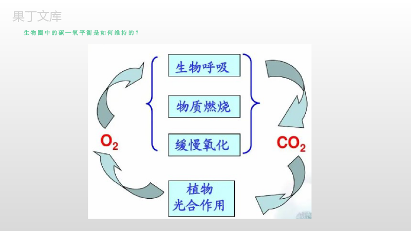 第五章第一节+光合作用吸收二氧化碳释放氧气-七年级上册生物同步备课精制课件(人教版)