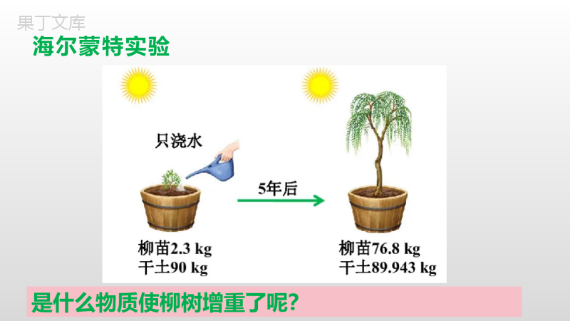 第五章第一节+光合作用吸收二氧化碳释放氧气-七年级上册生物同步备课精制课件(人教版)