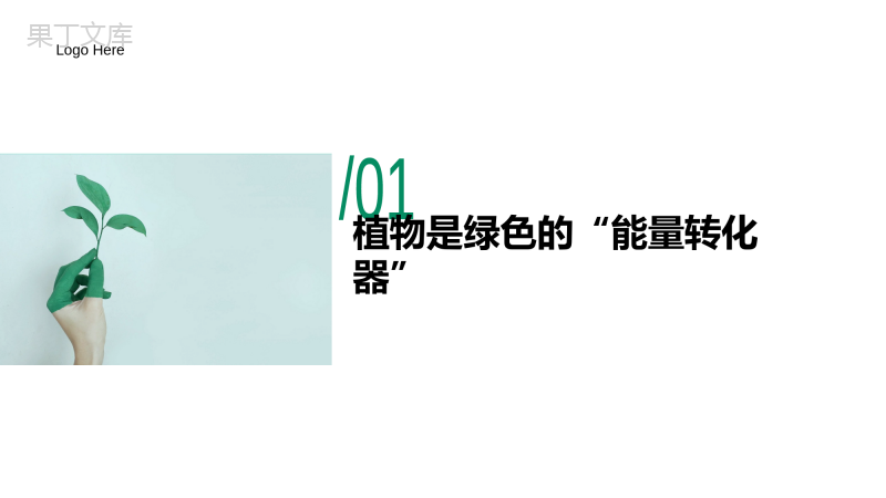 绿色植物在生物圈中的作用-2022-2023学年七年级上册生物同步高效优质课件(济南版)