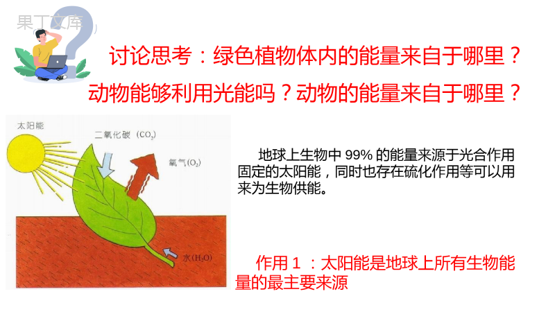 绿色植物在生物圈中的作用-2022-2023学年七年级上册生物同步高效优质课件(济南版)