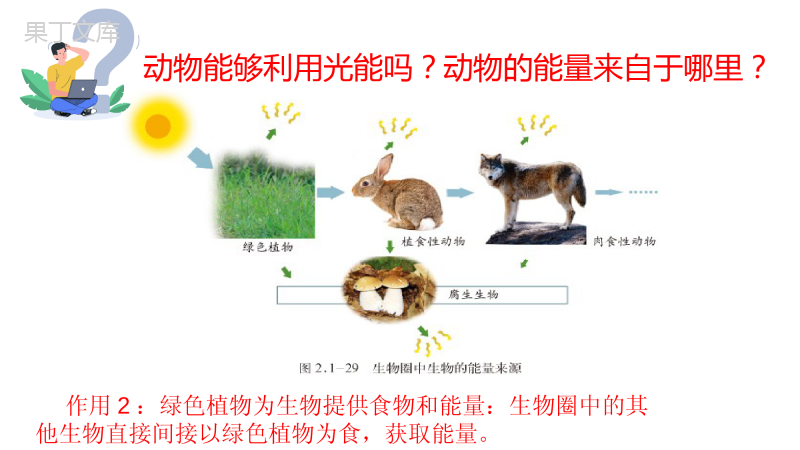 绿色植物在生物圈中的作用-2022-2023学年七年级上册生物同步高效优质课件(济南版)