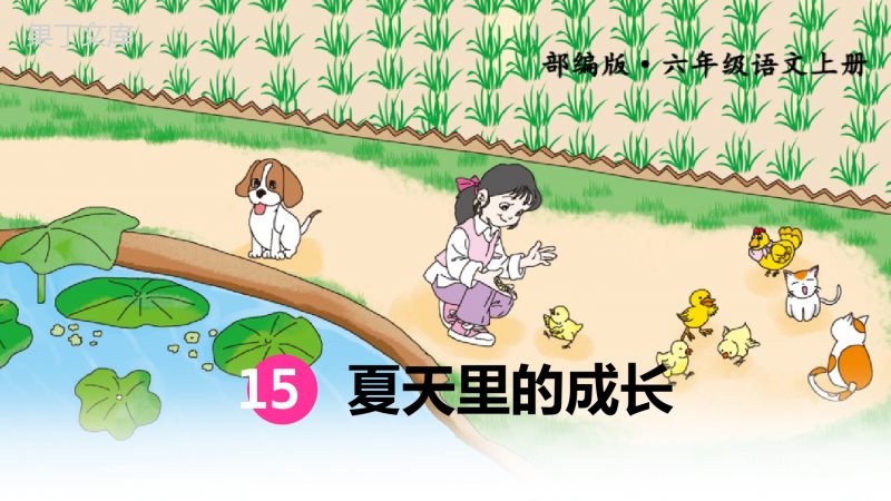 《夏天里的成长》PPT(完美版)优秀课件