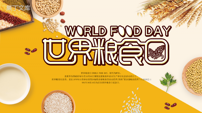 世界粮食日--主题班会课件(共19张ppt)