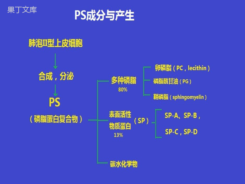 儿科学-新生儿呼吸窘迫综合征