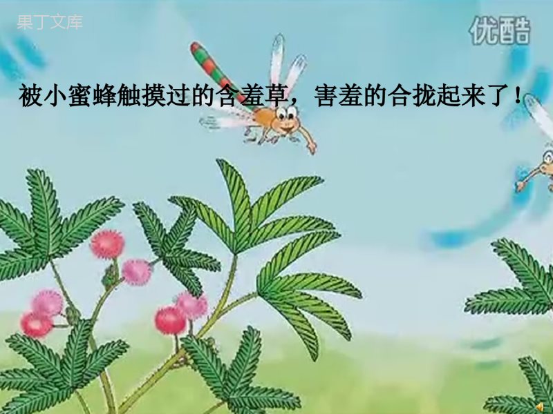 含羞草(幼儿园大班ppt课件)