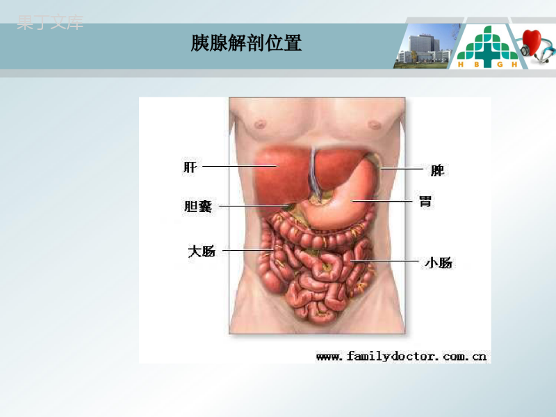 急性胰腺炎的护理查房ppt课件