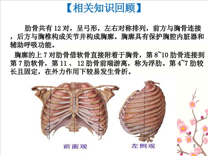 肋骨骨折护理查房PPT课件 (1)