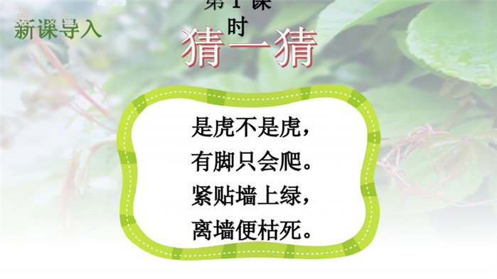 部编人教版四年级语文上册《10-爬山虎的脚》优秀PPT课件